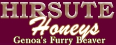 Hirsute Honeys - Hairy Pussy