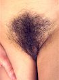 Hairy Pussy
